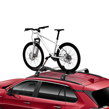 rav4-top-bike