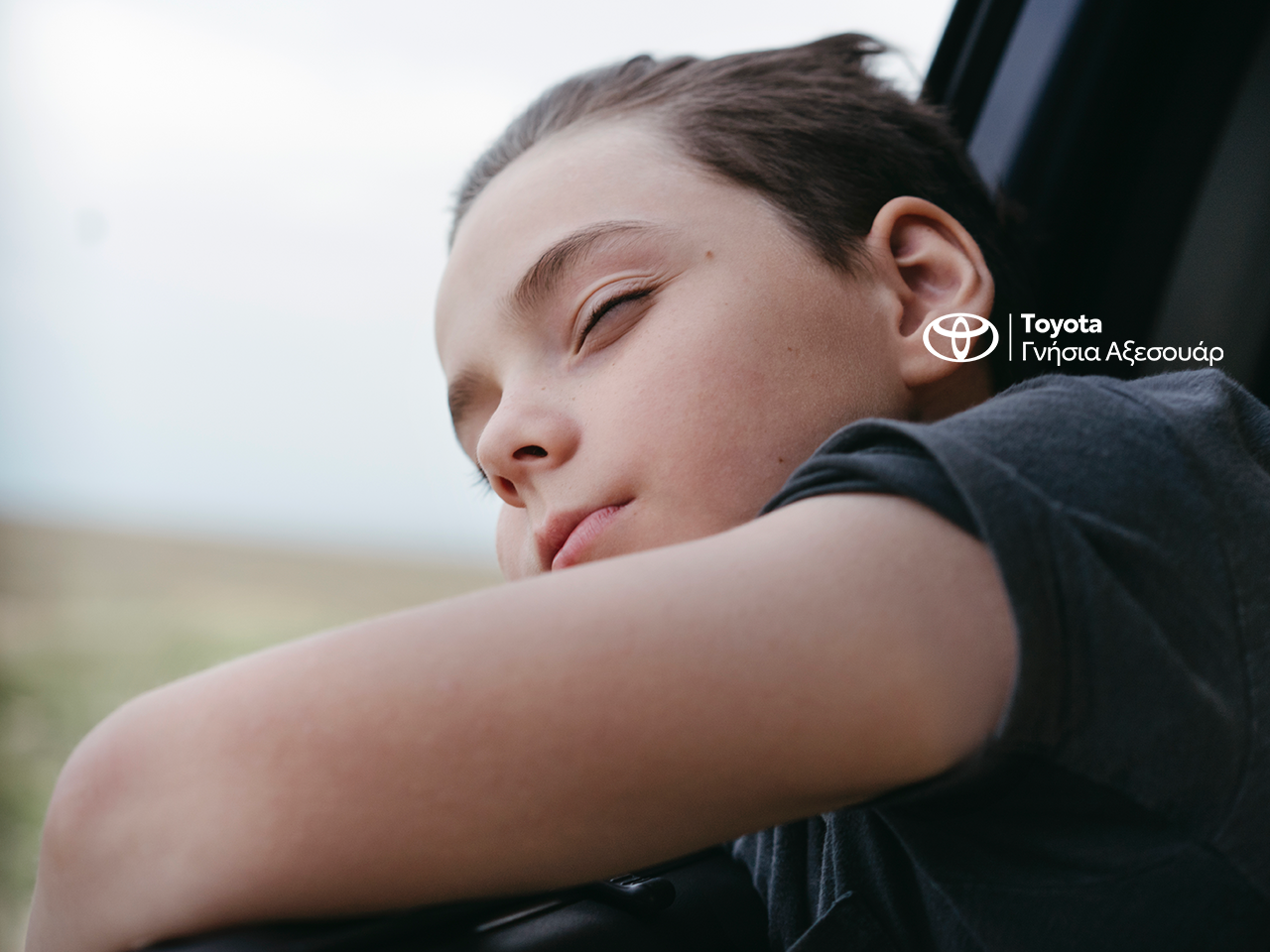Toyota Protect